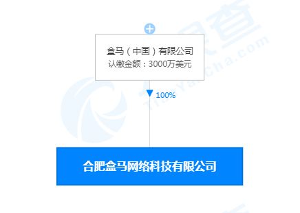 合肥盒马网络科技公司成立，注册资本3000万美元聚焦网络信息技术